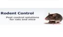 Pest Control & Exterminator of Orange County logo